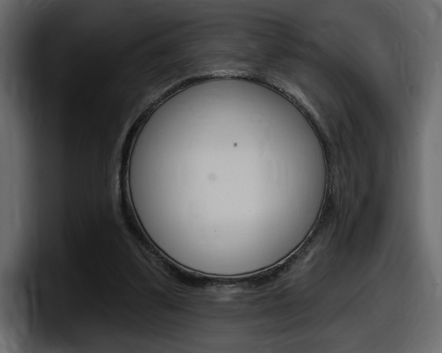 X0000098050299200803280736