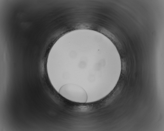 X0000098050302200803280736