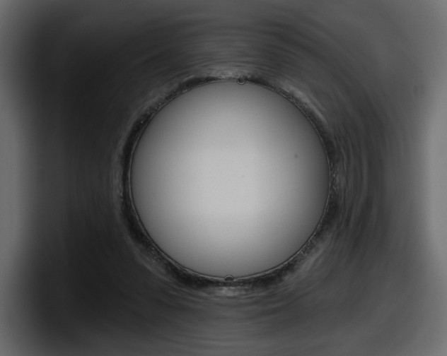 X0000098050303200803280736