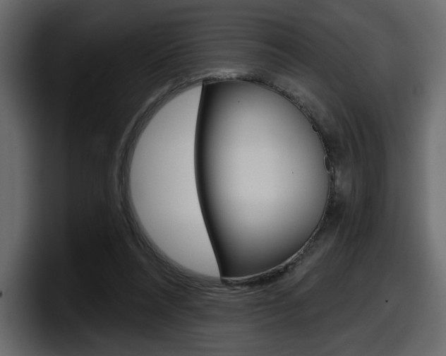 X0000098050304200803280735