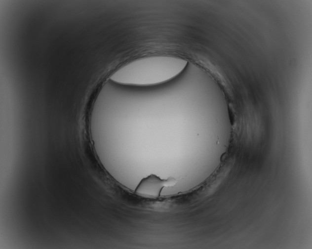 X0000098050306200803280735