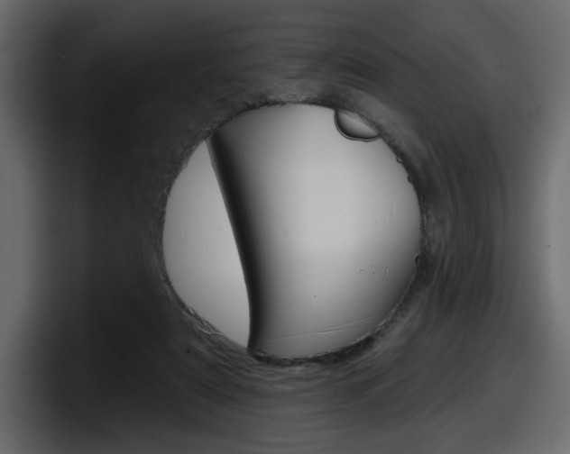 X0000098050307200803280735