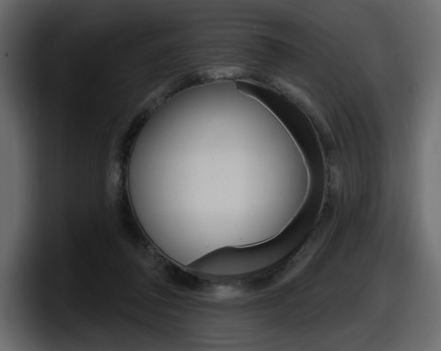 X0000098050308200803280735