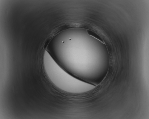 X0000098050312200803280735