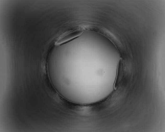 X0000098050313200803280735