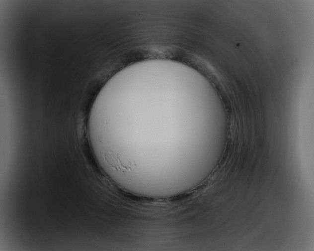 X0000098050318200803280735
