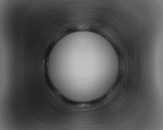X0000098050319200803280735