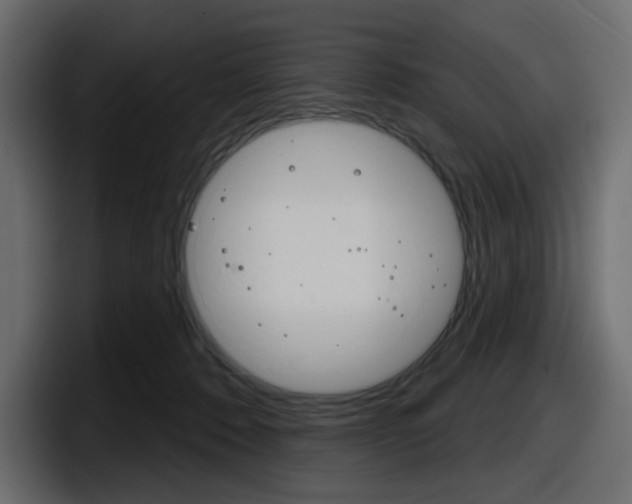 X0000098050320200803280735