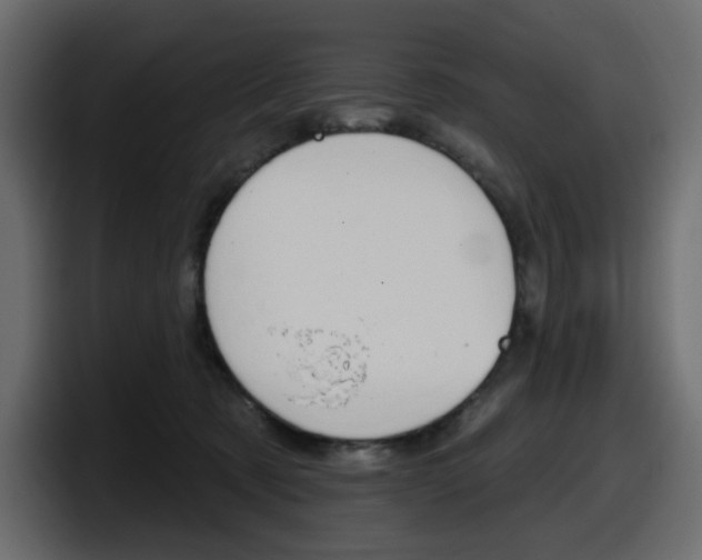 X0000098050321200803280735