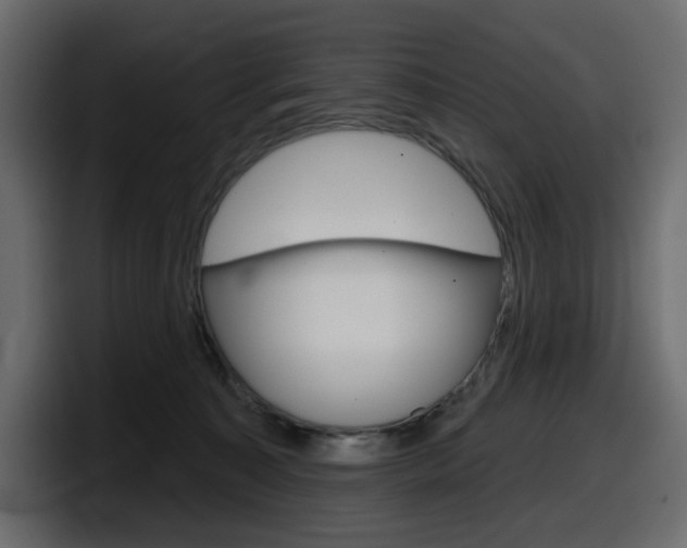 X0000098050323200803280735