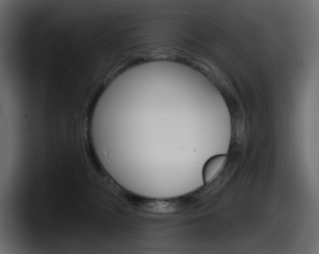 X0000098050326200803280735