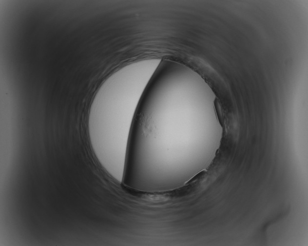 X0000098050327200803280735