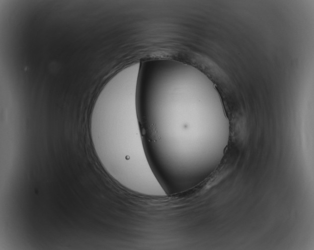 X0000098050329200803280735