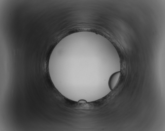 X0000098050330200803280735