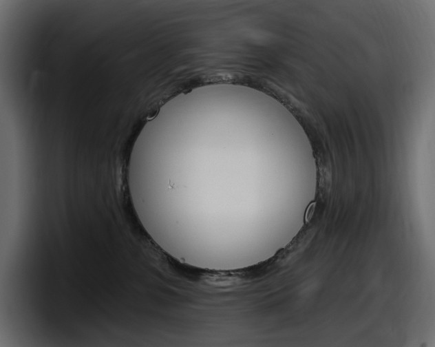 X0000098050331200803280735