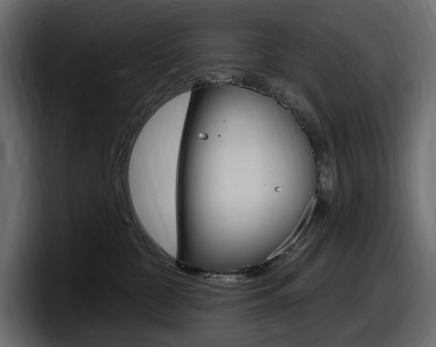 X0000098050332200803280735