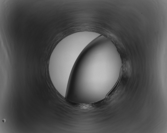 X0000098050333200803280735