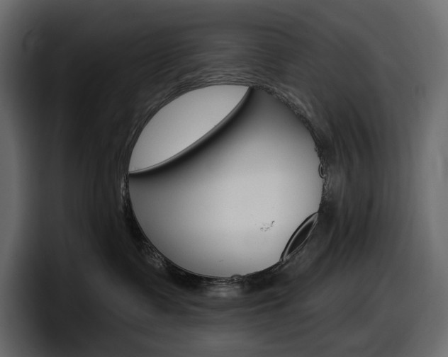 X0000098050335200803280735