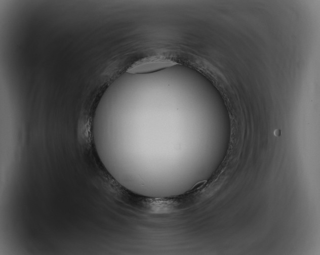 X0000098050336200803280735