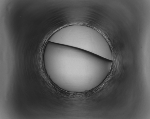 X0000098050337200803280734