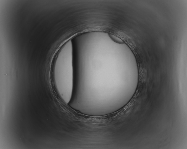 X0000098050338200803280734