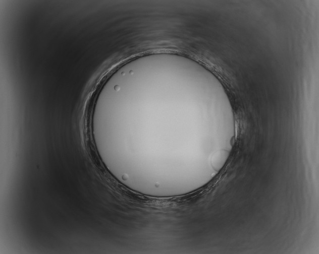 X0000098050339200803280734