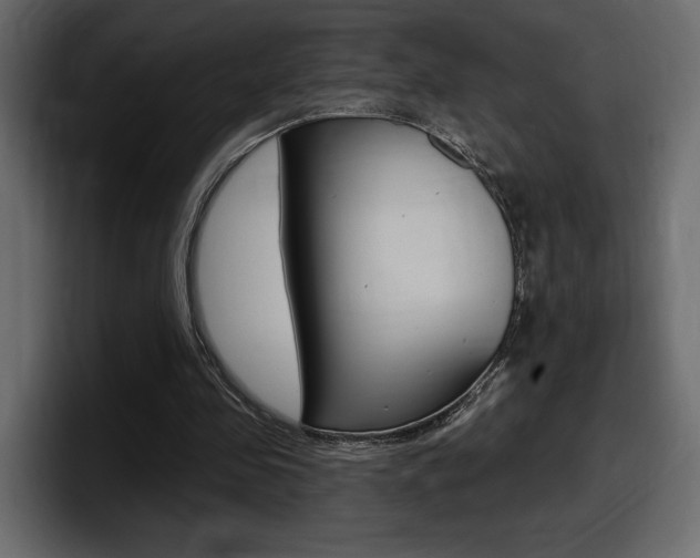 X0000098050341200803280735