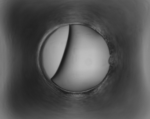 X0000098050342200803280735
