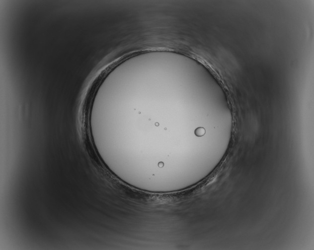 X0000098050343200803280735