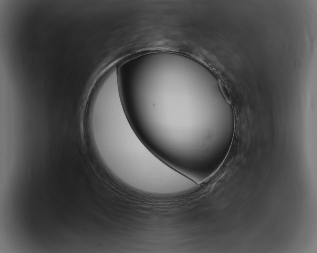 X0000098050344200803280735