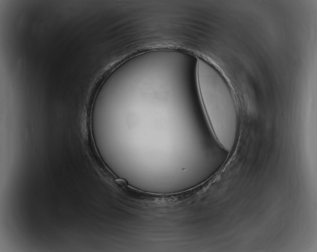 X0000098050345200803280735