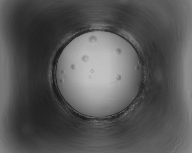 X0000098050346200803280735
