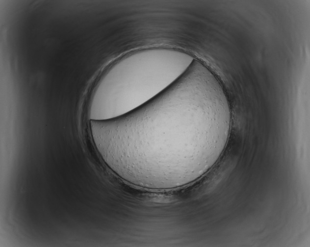 X0000098050347200803280735