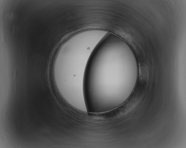 X0000098050348200803280735