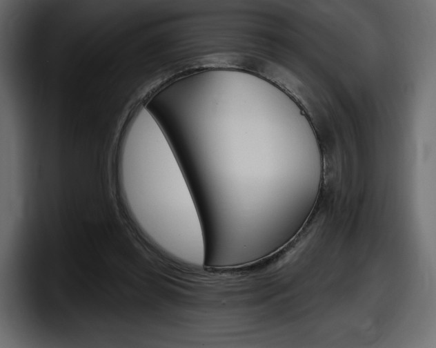 X0000098050349200803280735