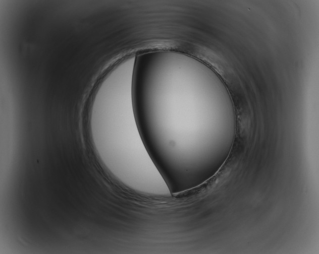 X0000098050350200803280735