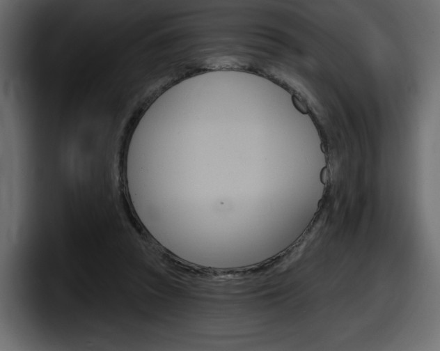X0000098050353200803280735
