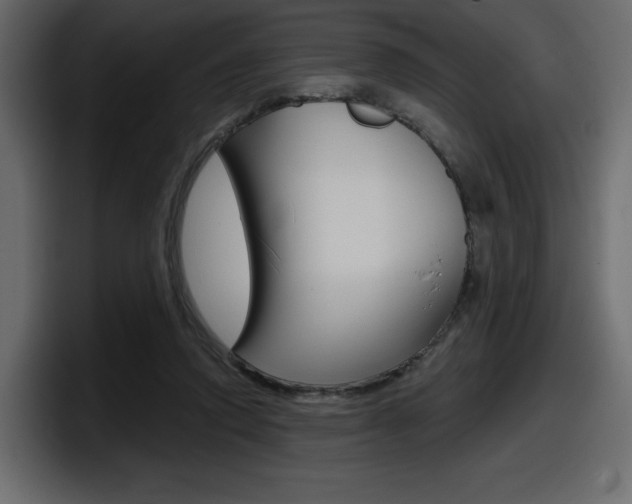 X0000098050354200803280735