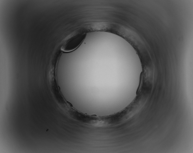 X0000098050356200803280735