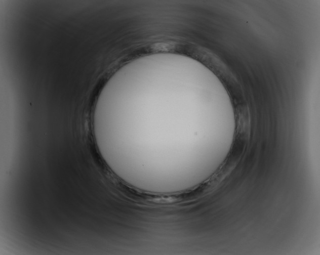 X0000098050363200803280735