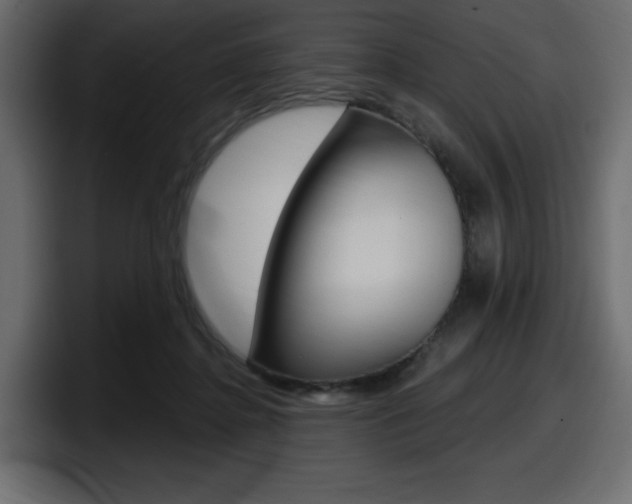 X0000098050364200803280735