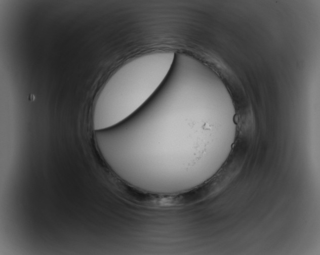 X0000098050365200803280735