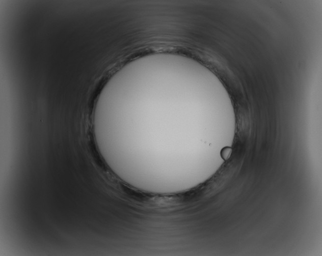 X0000098050367200803280735