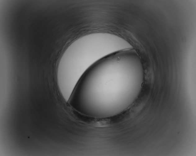 X0000098050368200803280735