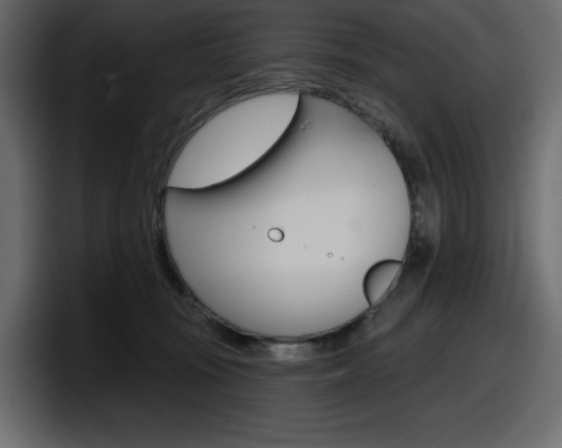X0000098050371200803280735