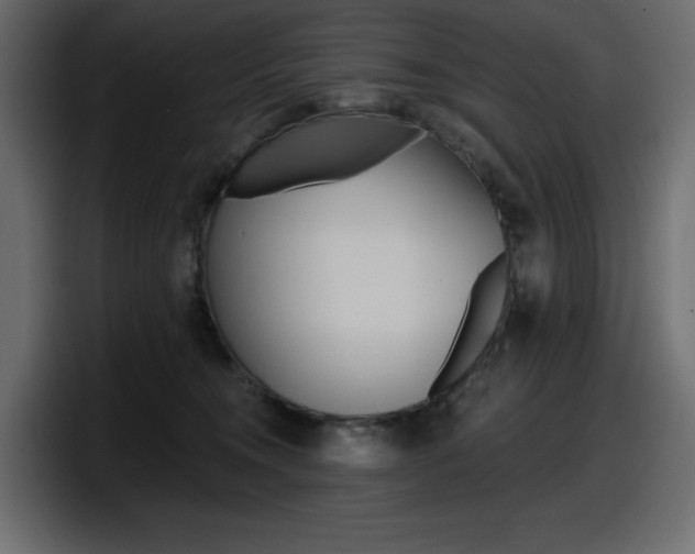 X0000098050372200803280735
