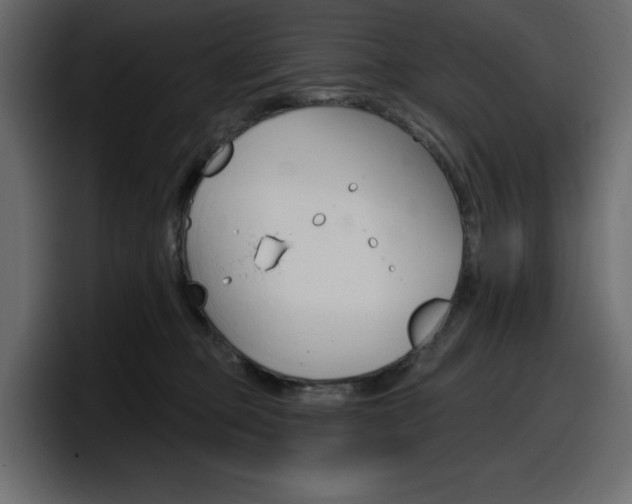 X0000098050373200803280735