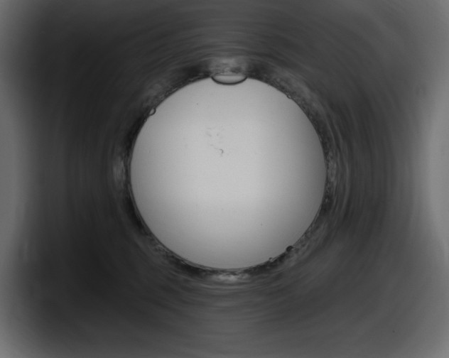 X0000098050375200803280735