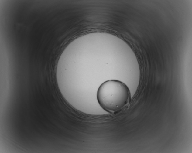 X0000098050376200803280735