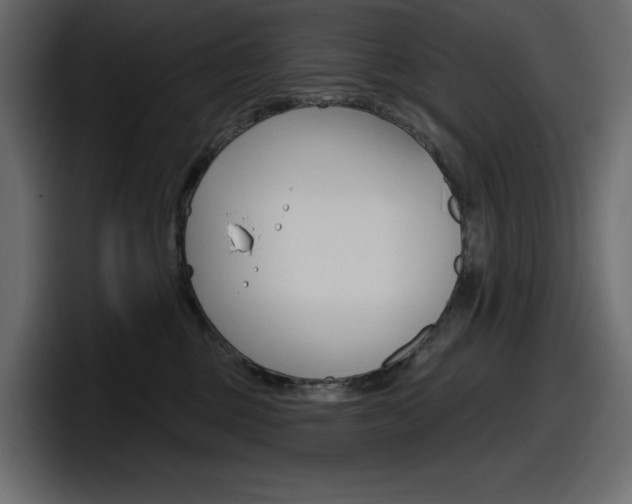 X0000098050377200803280735